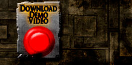 Download Demo Video